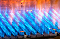Burton Lazars gas fired boilers